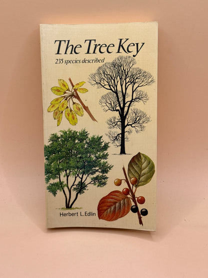 The Tree Key by Herbert L. Edlin