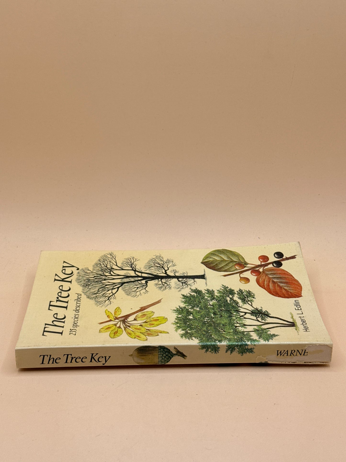 The Tree Key by Herbert L. Edlin
