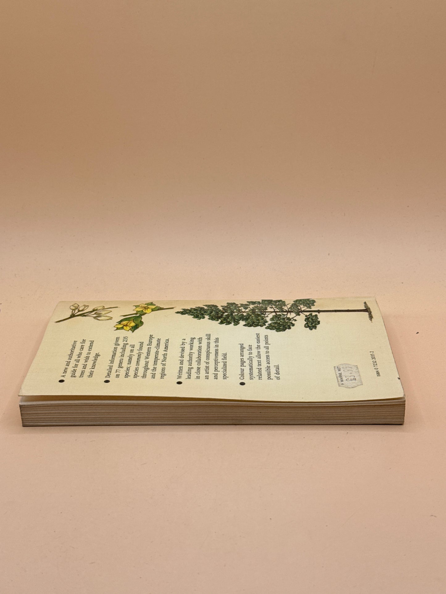 The Tree Key by Herbert L. Edlin