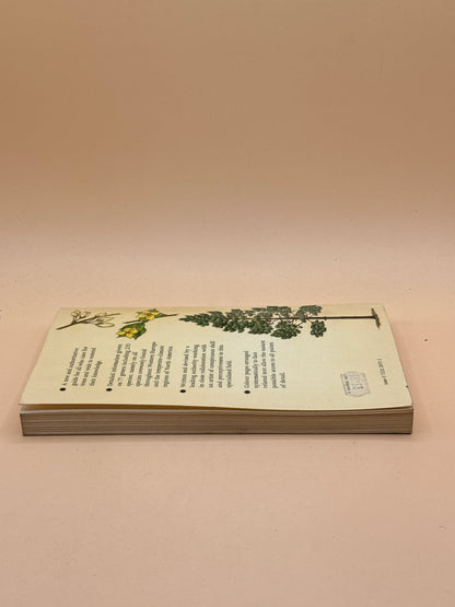 The Tree Key by Herbert L. Edlin