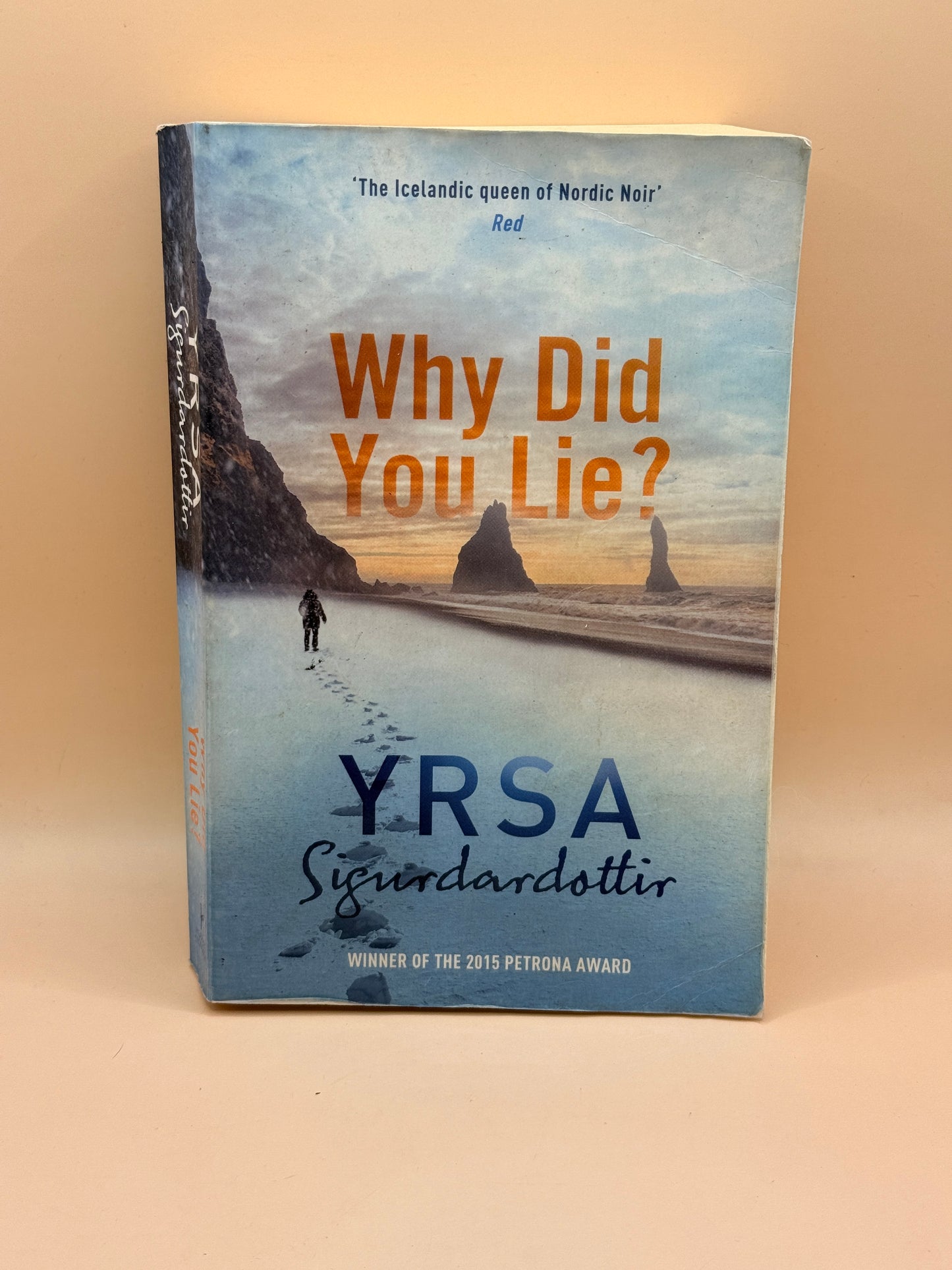 Why Did You Lie? by Yrsa Sigurdardóttir