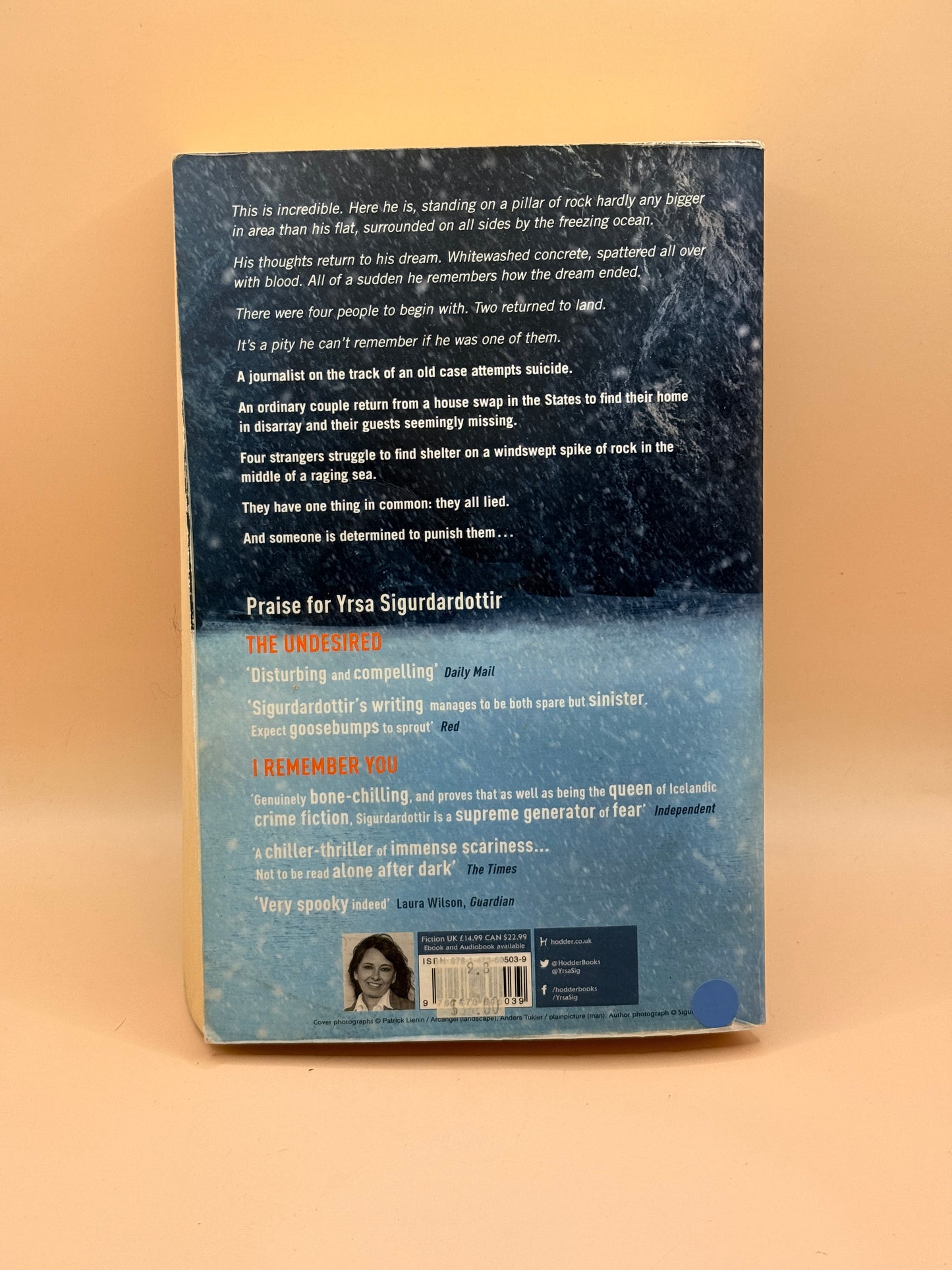Why Did You Lie? by Yrsa Sigurdardóttir