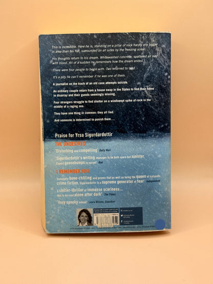 Why Did You Lie? by Yrsa Sigurdardóttir