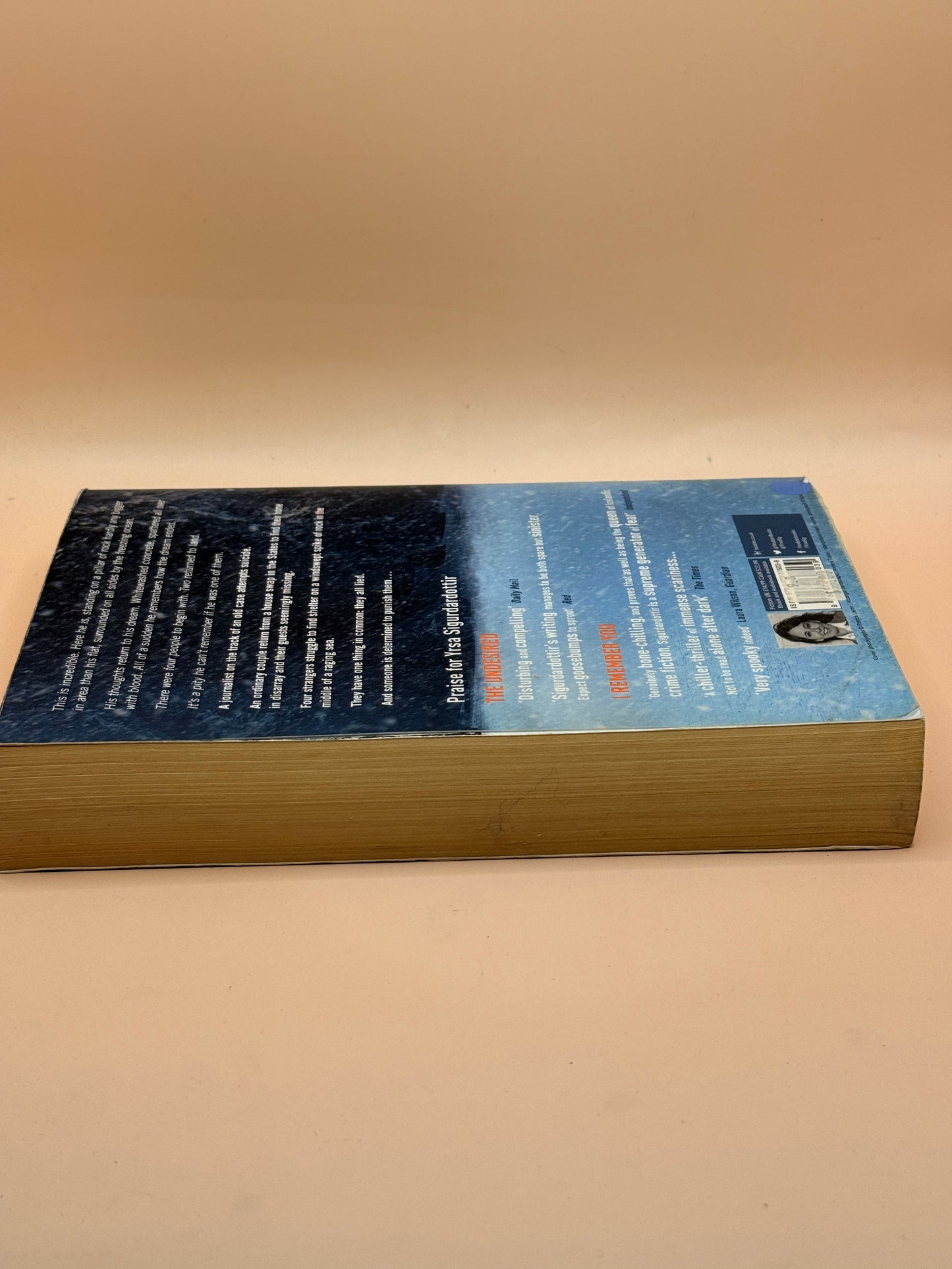 Why Did You Lie? by Yrsa Sigurdardóttir