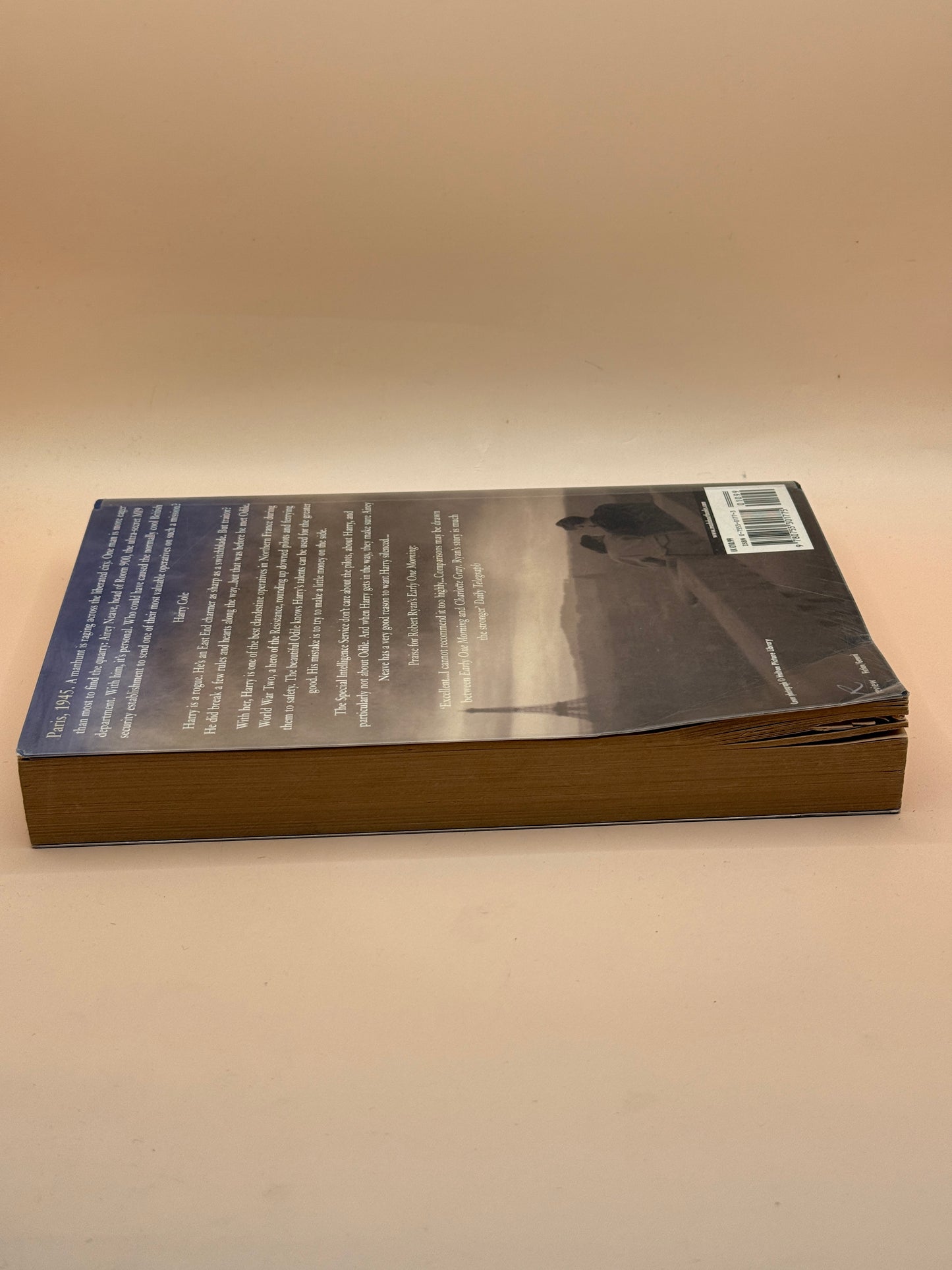 The Blue Noon by Robert Ryan