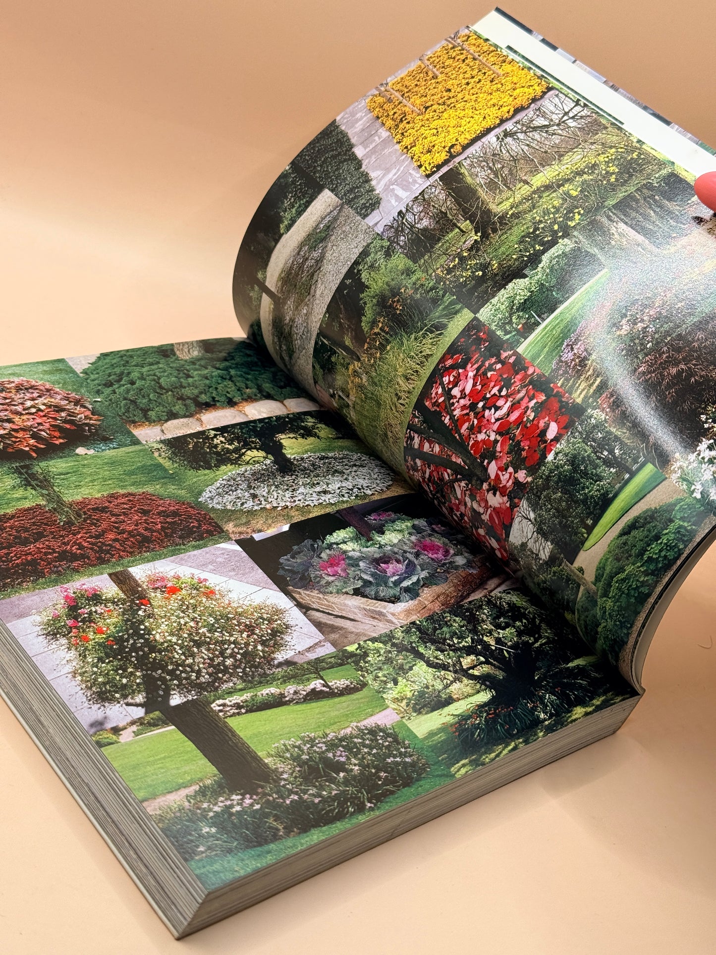 1000 Garden Ideas by Stafford Cliff