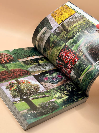 1000 Garden Ideas by Stafford Cliff