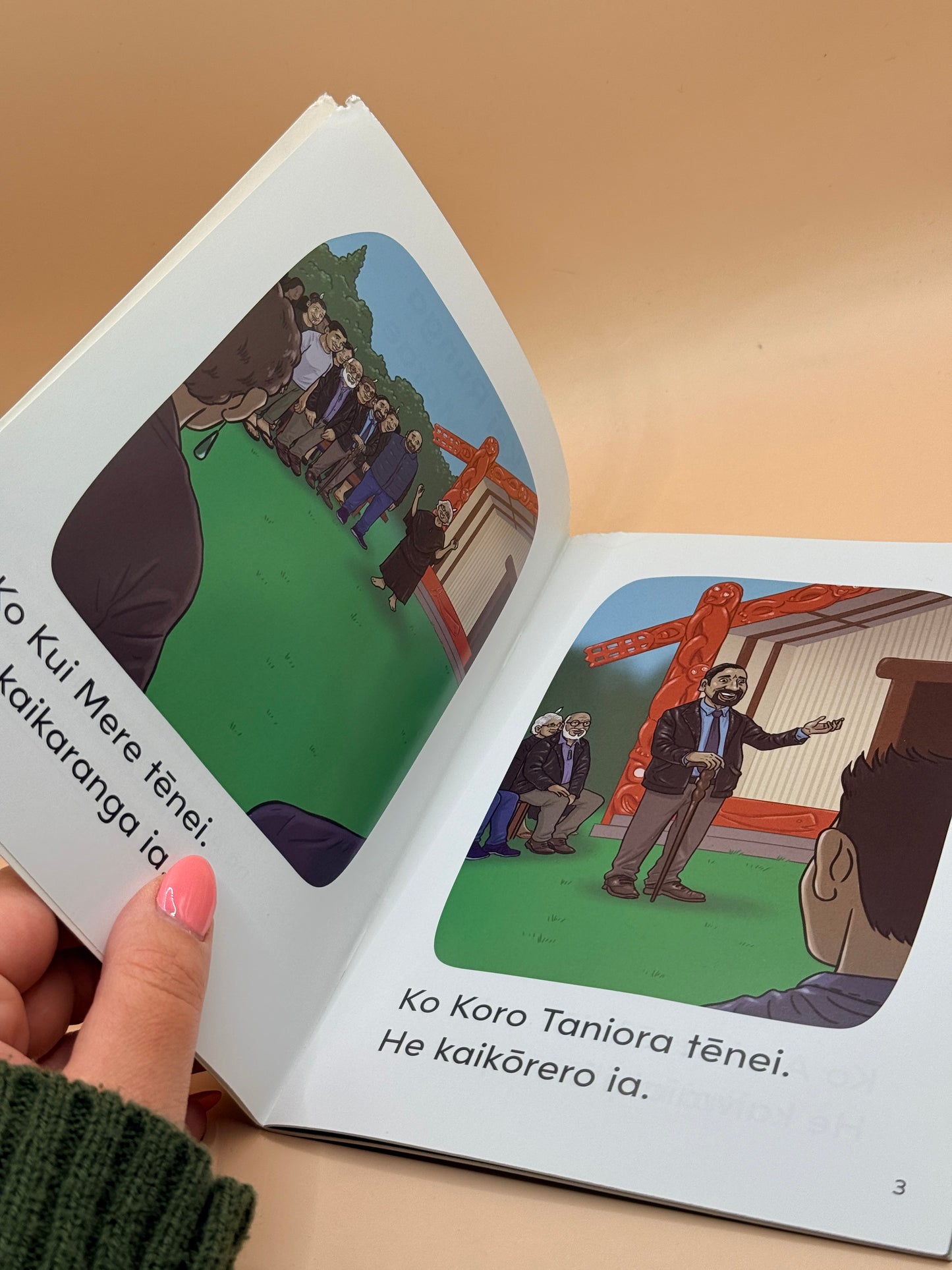 Kei Runga i te Marae by Alice Patrick - Dual Language
