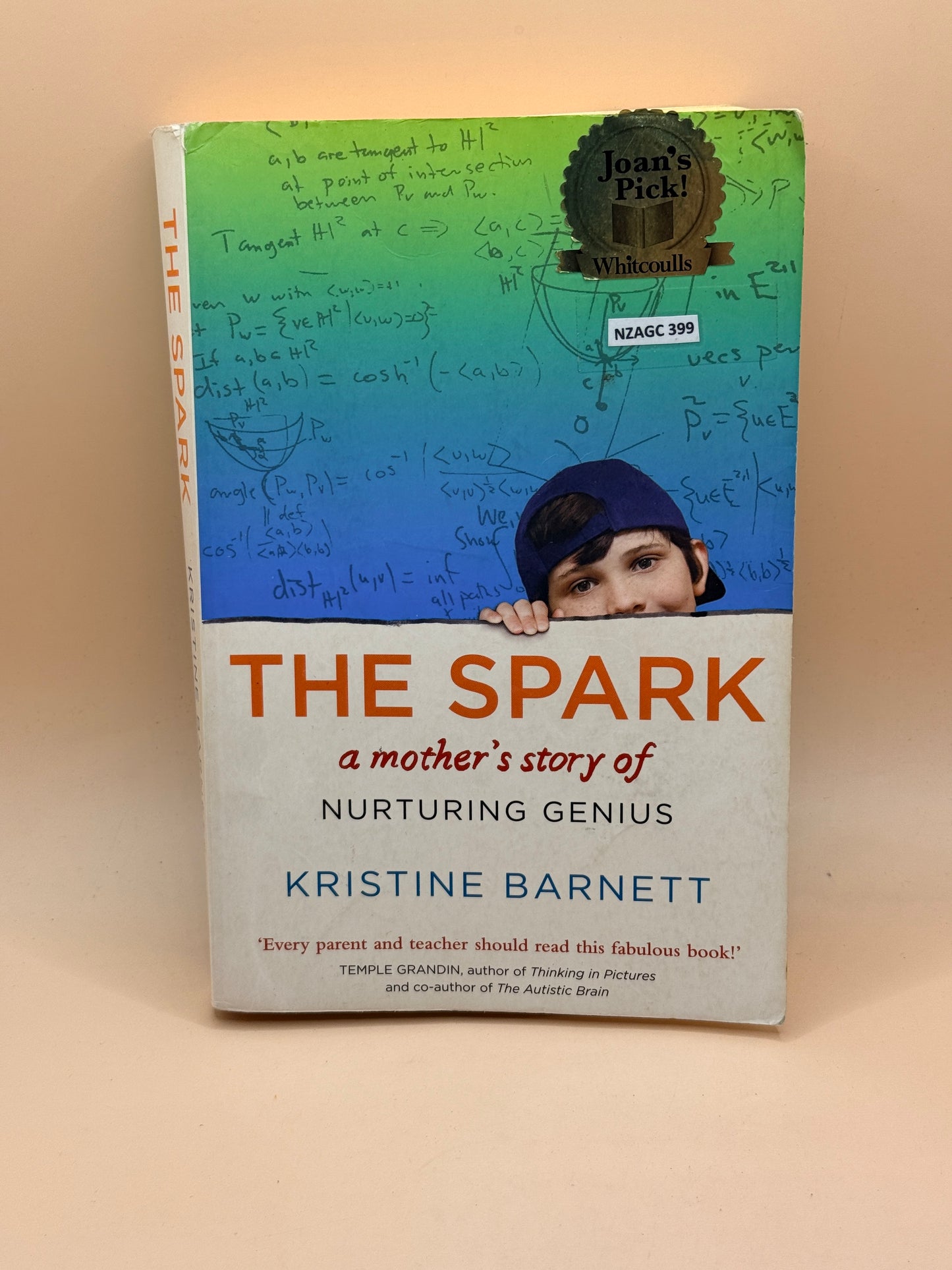 The Spark: A Mother's Story of Nurturing Genius by Kristine Barnett