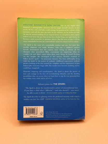 The Spark: A Mother's Story of Nurturing Genius by Kristine Barnett