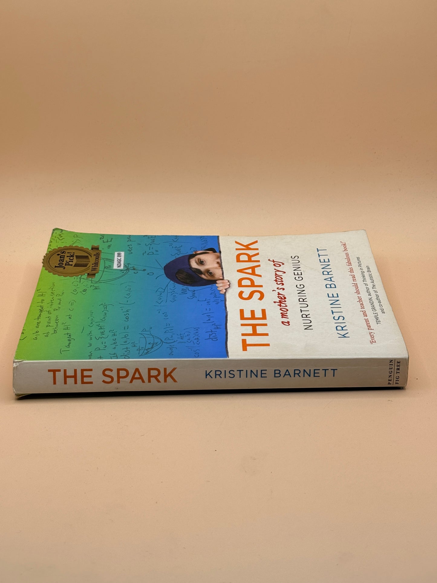 The Spark: A Mother's Story of Nurturing Genius by Kristine Barnett