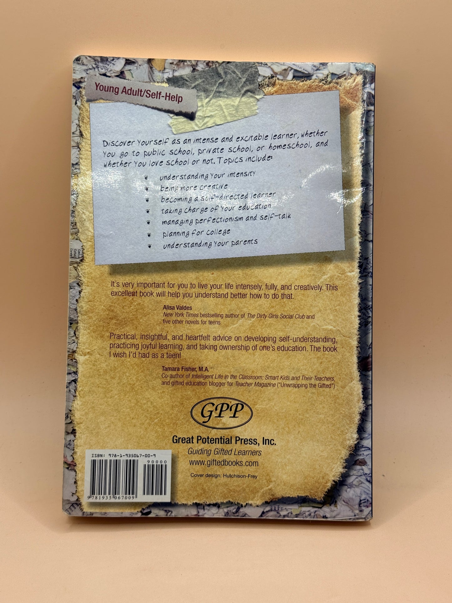 The Smart Teens' Guide to Living with Intensity by Lisa Rivero