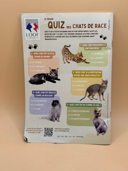 Sorcières Magazine No. 294 (January 2026)