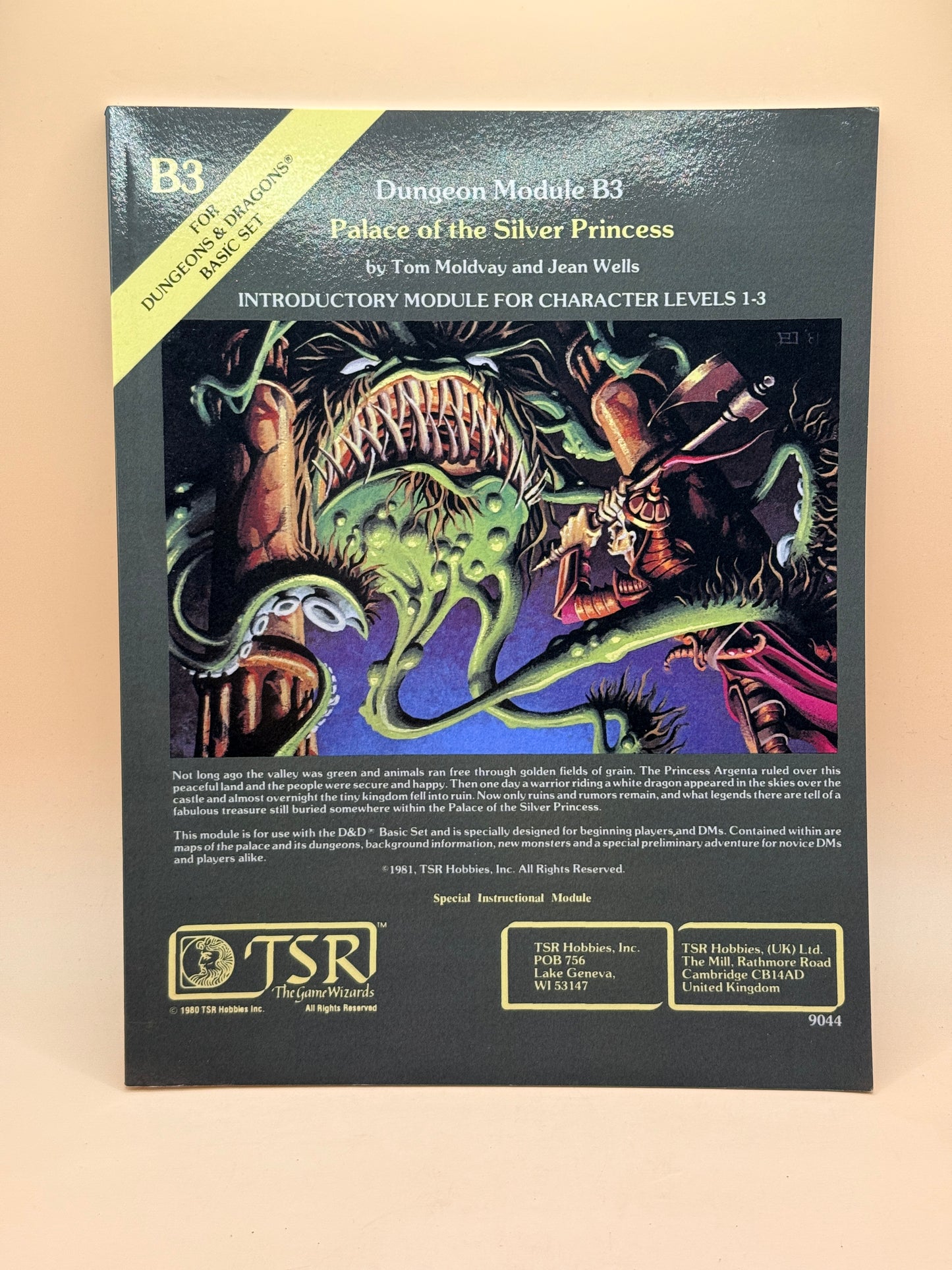 Dungeon Module B3: Palace of the Silver Princess by Tom Moldvay and Jean Wells