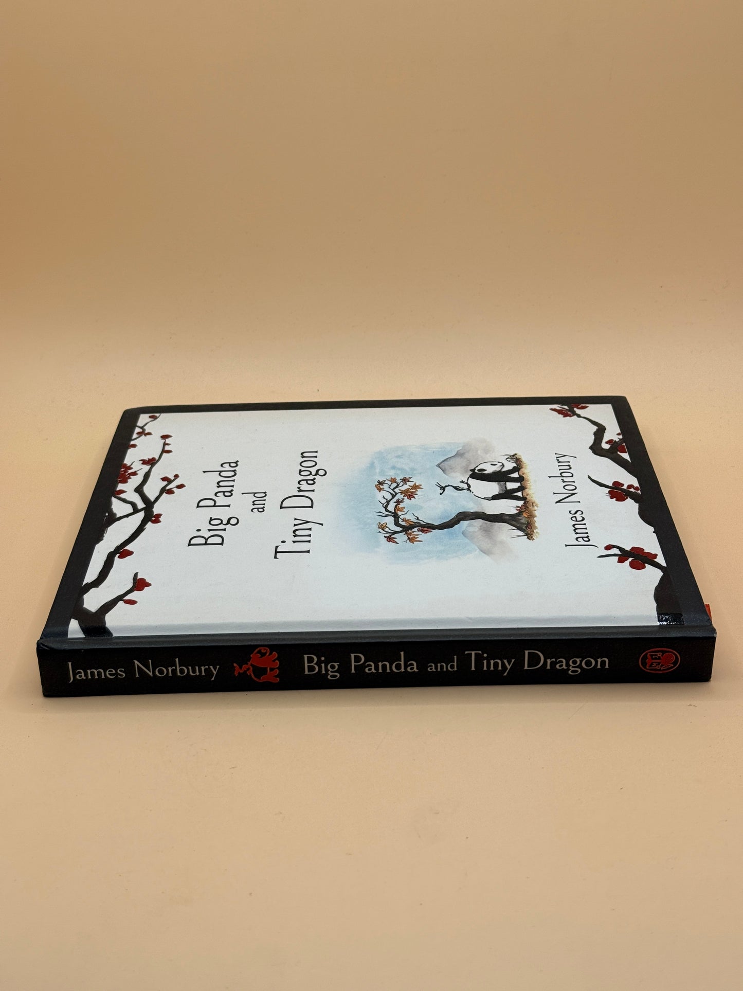 Big Panda and Tiny Dragon by James Norbury
