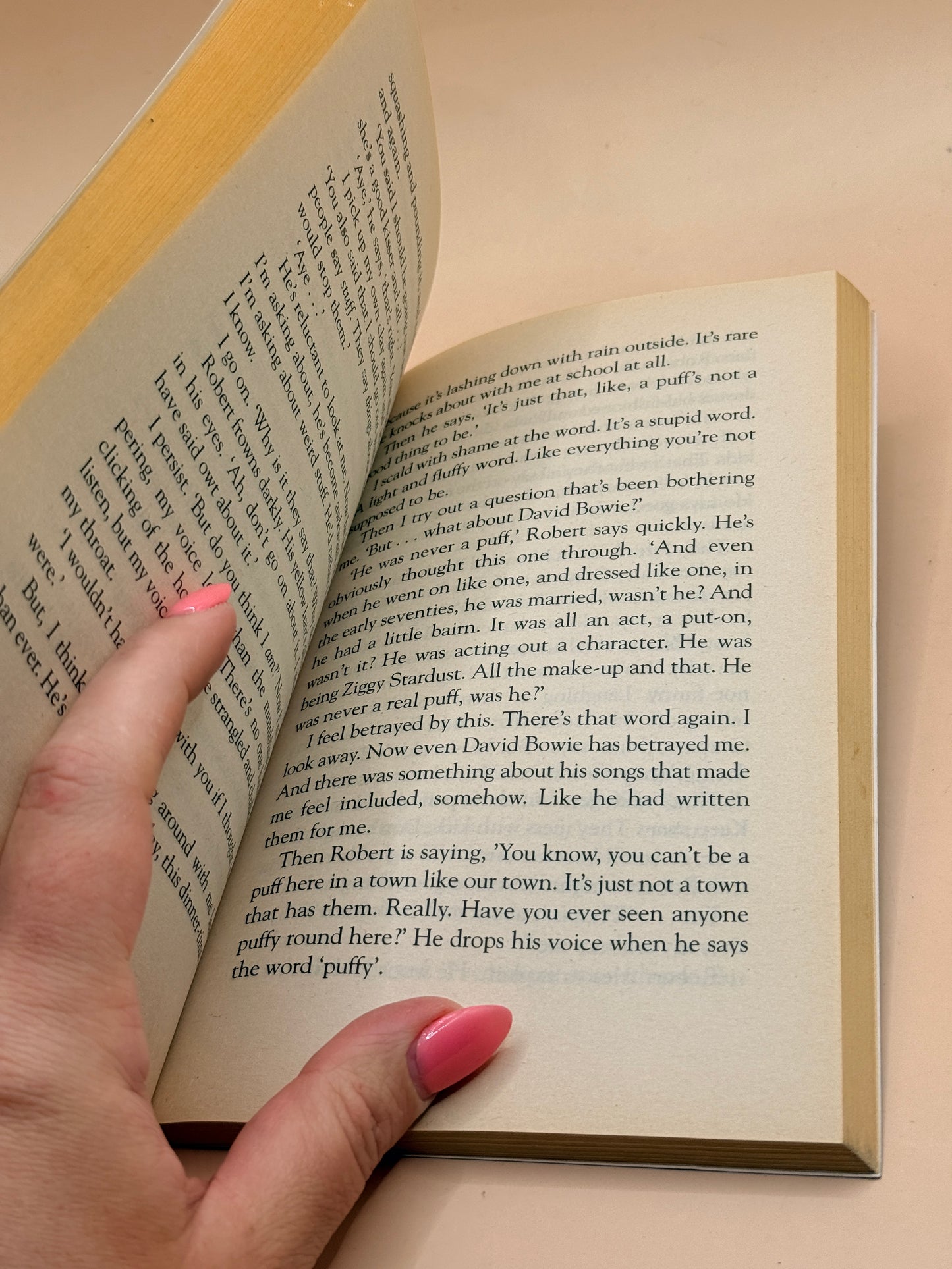 The Diary of a Dr Who Addict by Paul Magrs