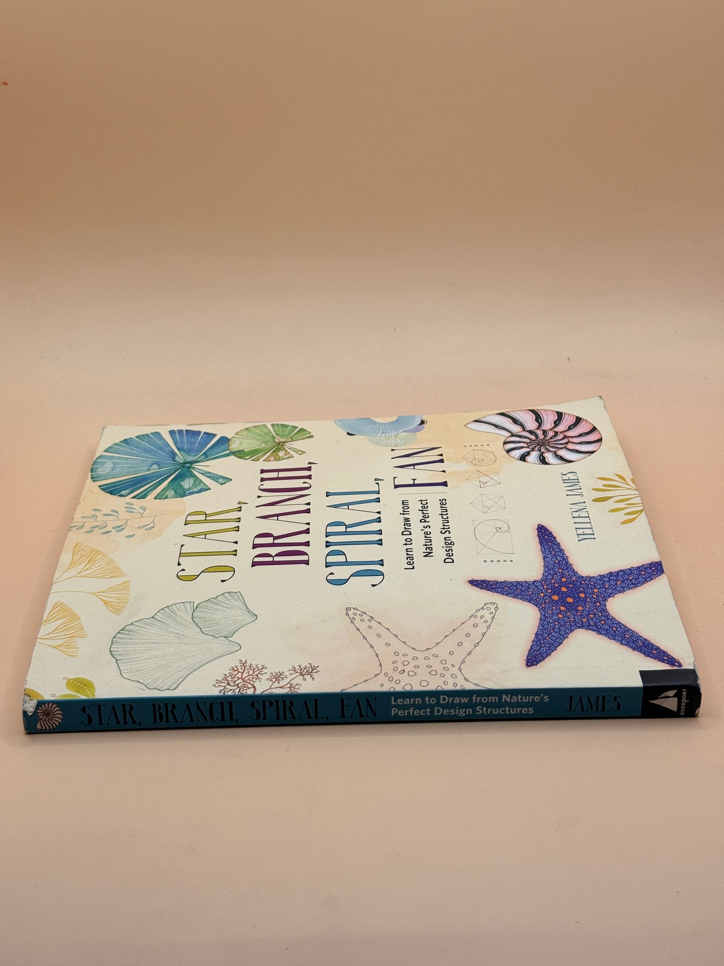 Star, Branch, Spiral, Fan by Yellena James