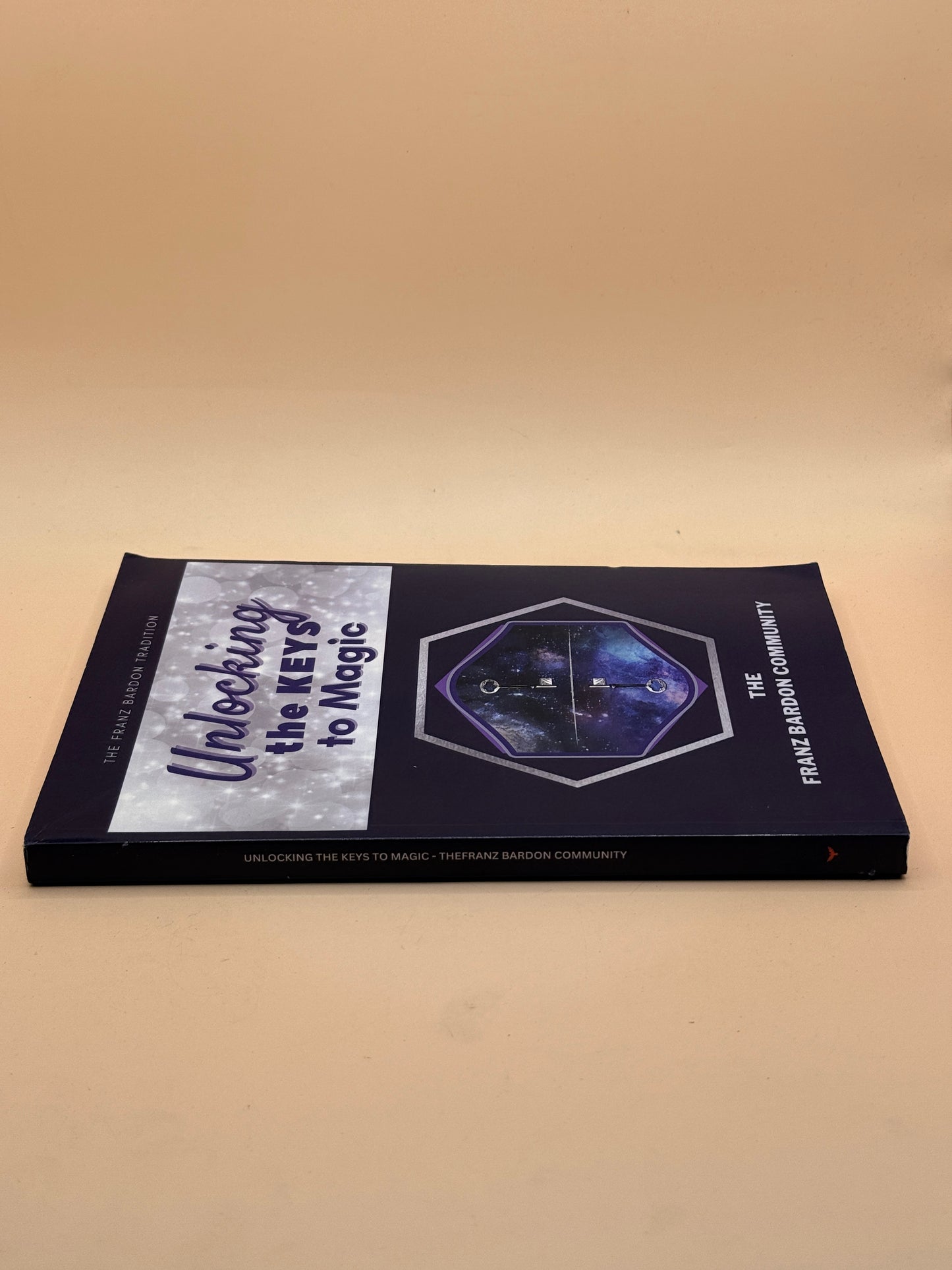 Unlocking the Keys to Magic by The Franz Bardon Community
