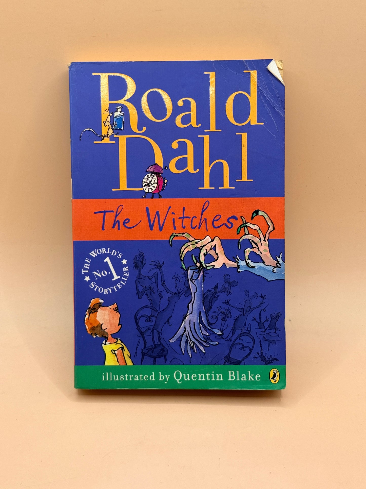 The Witches by Roald Dahl