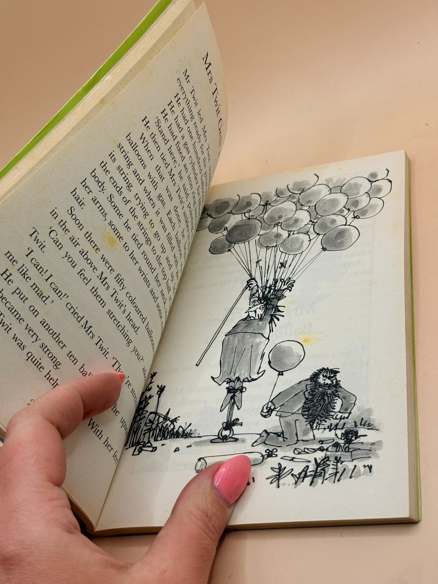 The Twits by Roald Dahl