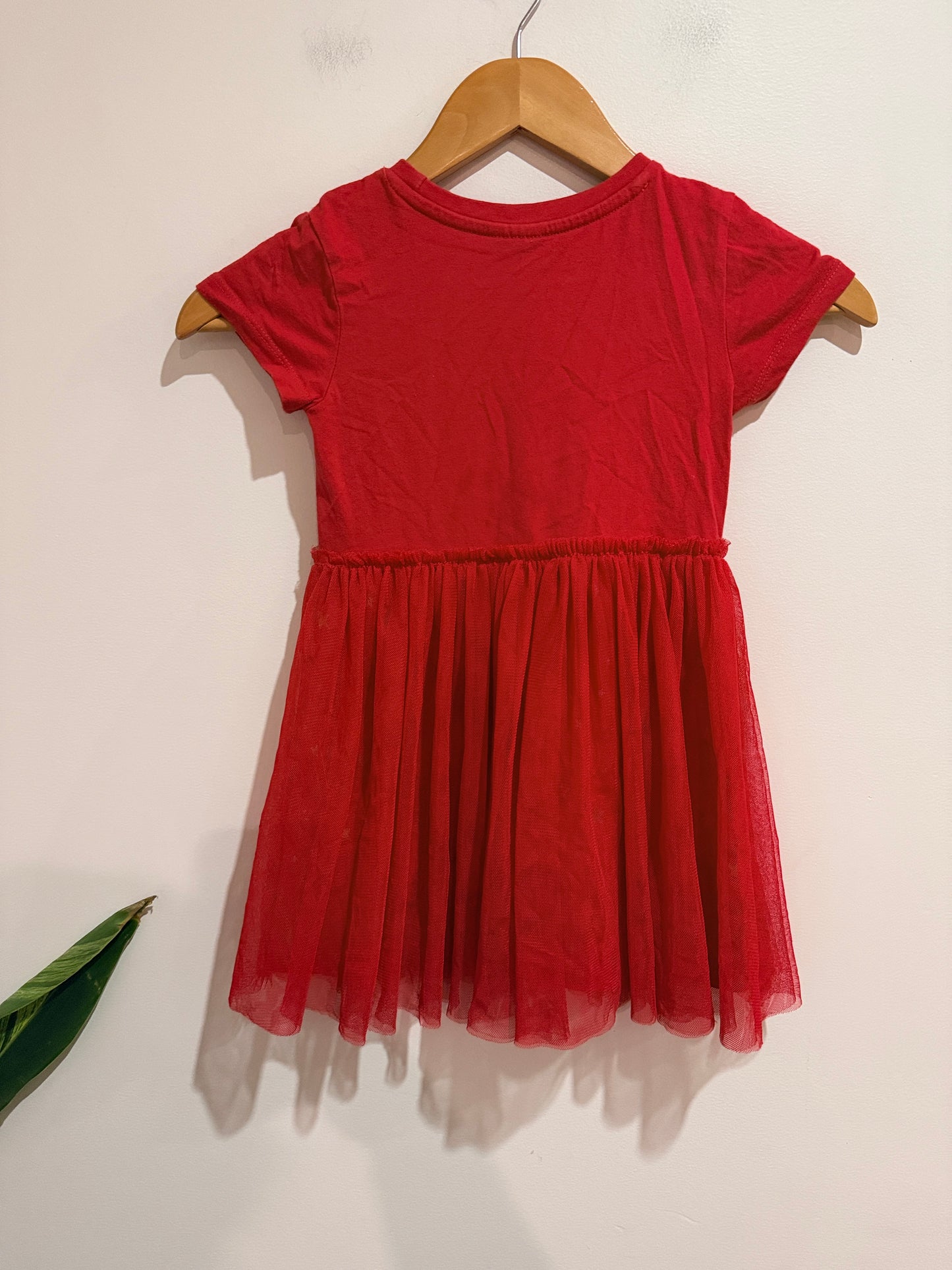 Young Original Kids' Tulle-skirt Dress Size 4