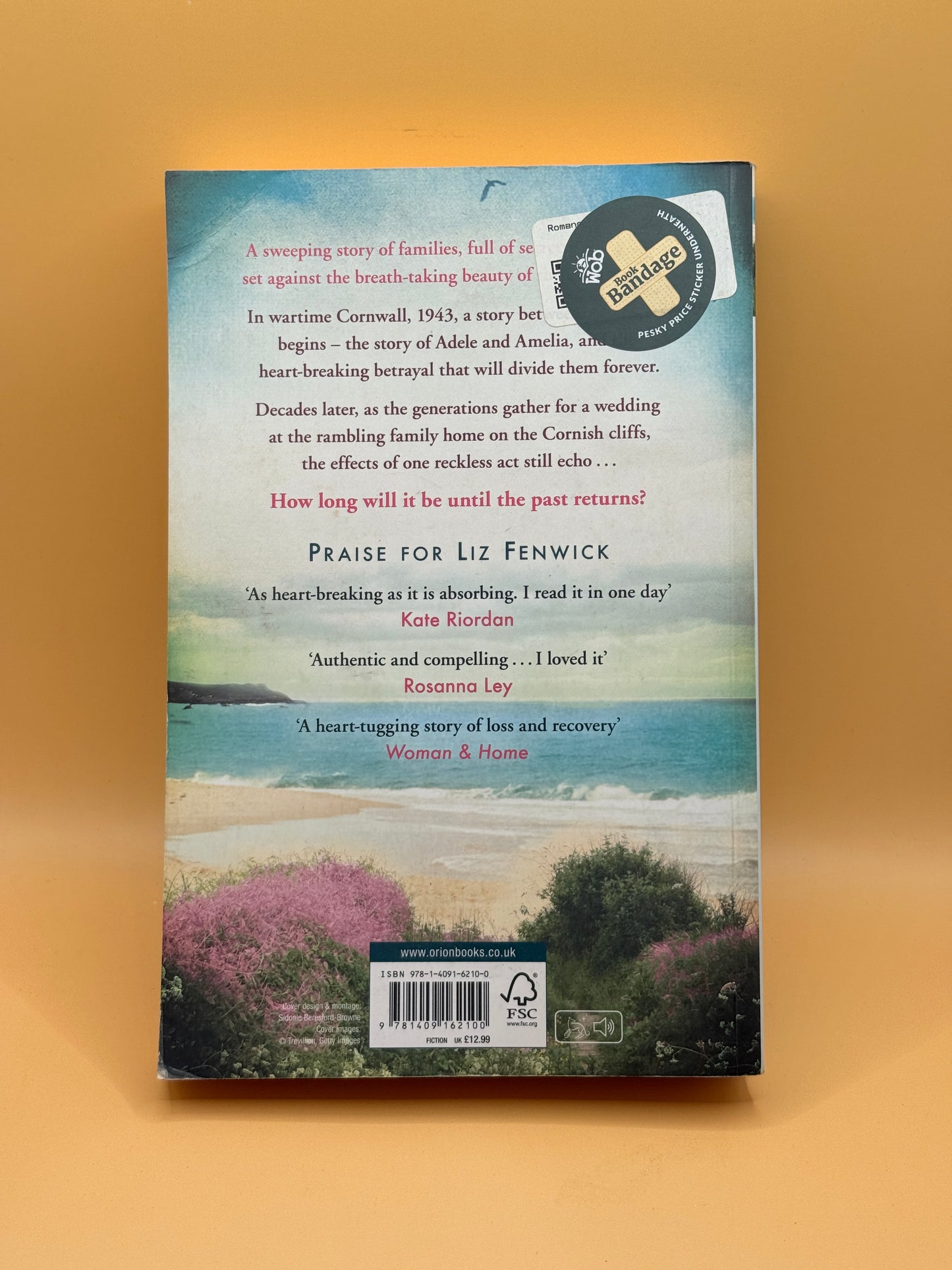 Returning Tide by Liz Fenwick