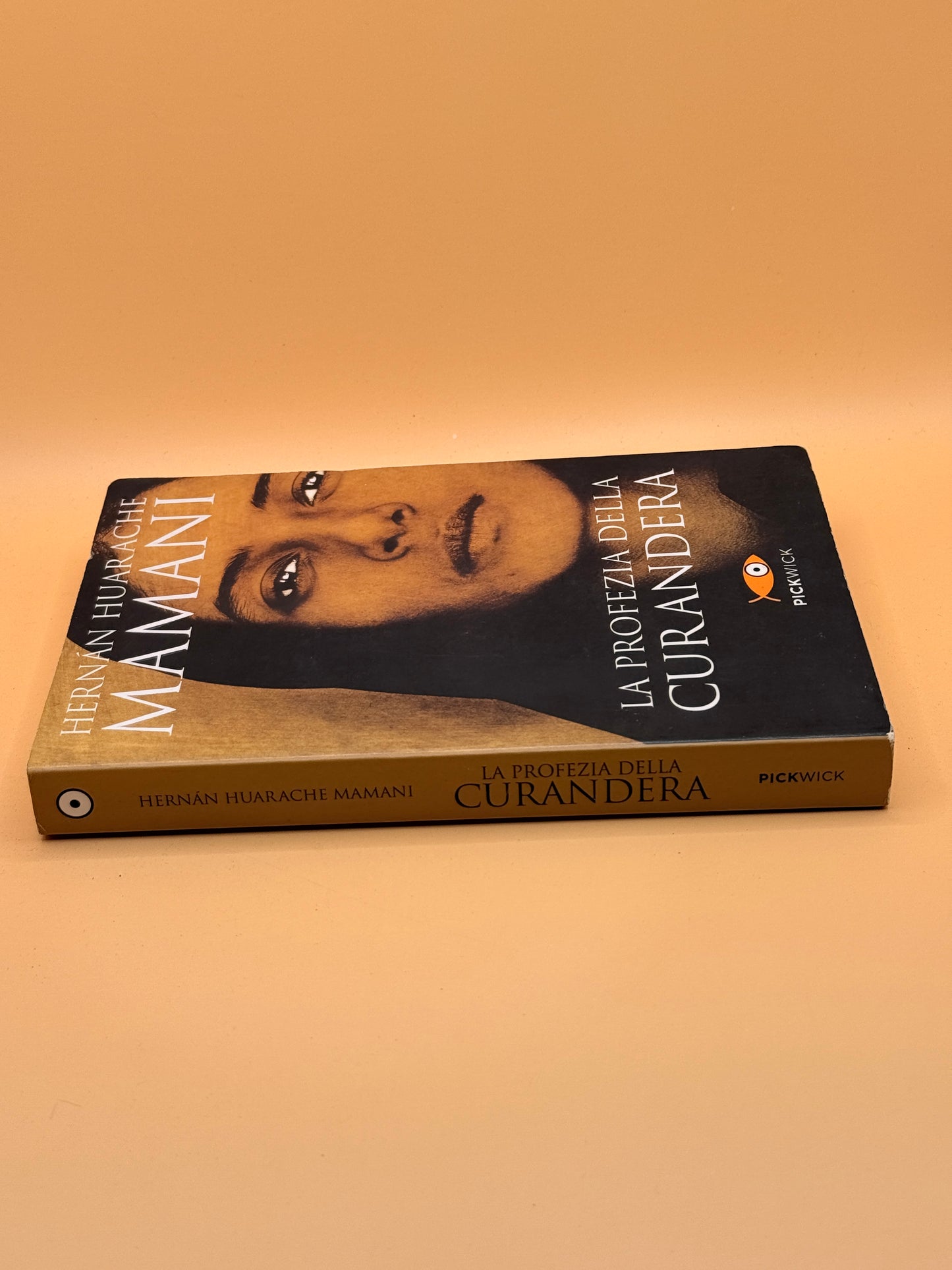 La profezia della curandera (Italian Edition) by Hernan Mamani Huarache