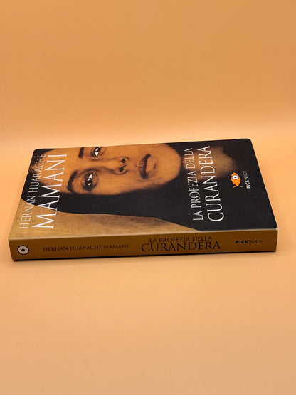 La profezia della curandera (Italian Edition) by Hernan Mamani Huarache