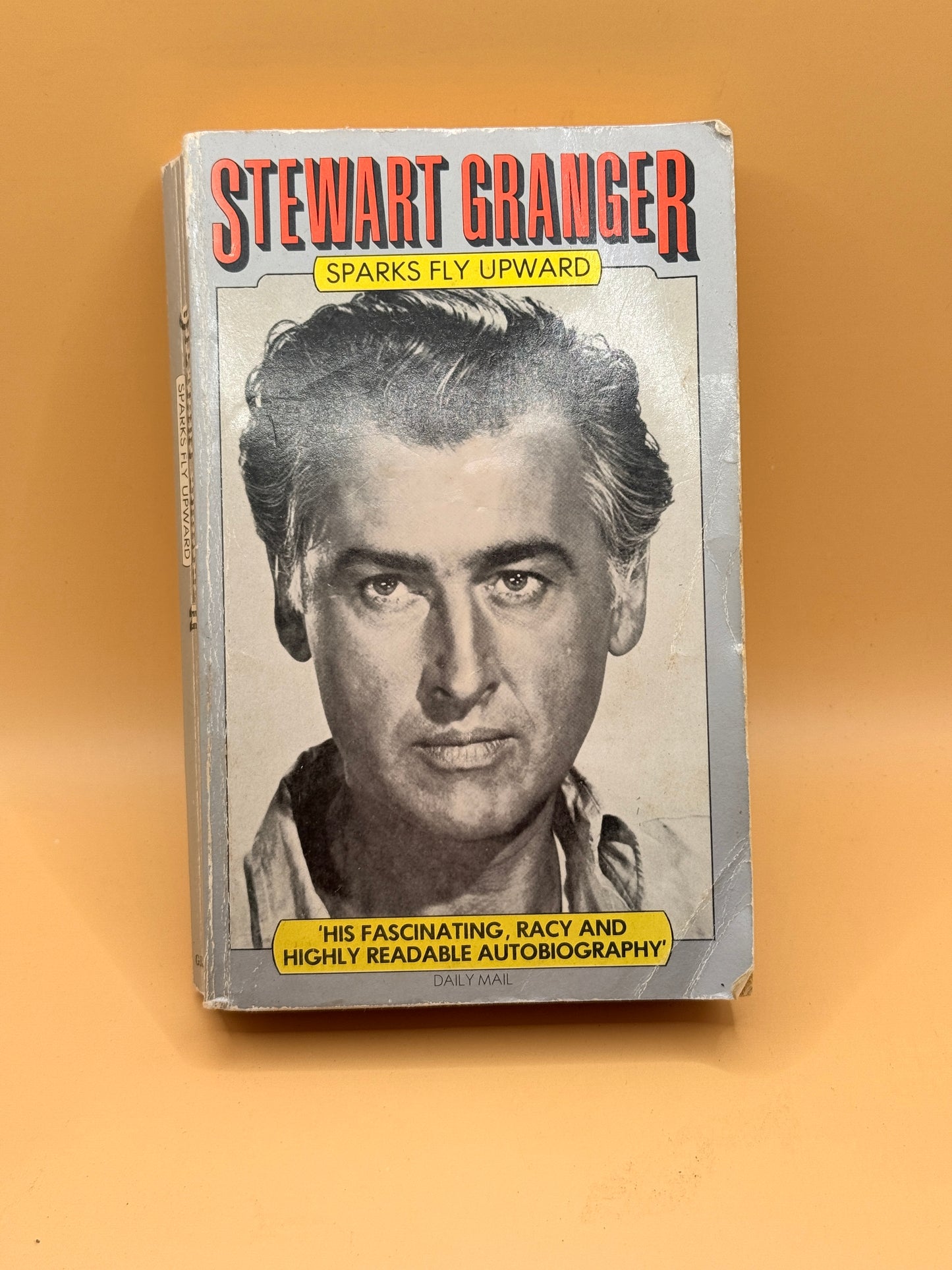 Sparks Fly Upward by Stewart Granger (1981)