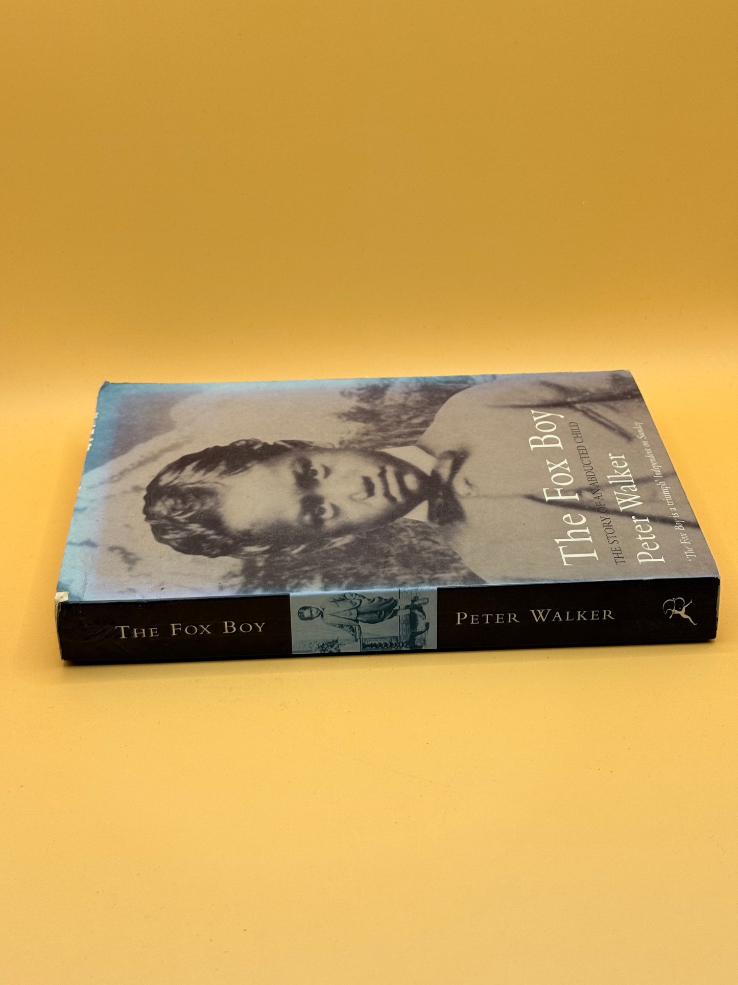 The Fox Boy by Peter Walker