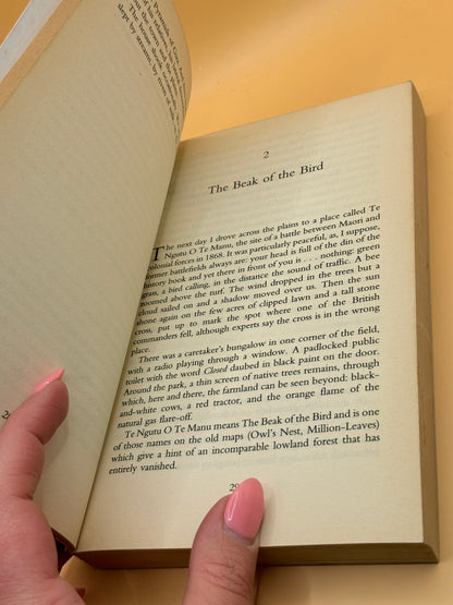 The Fox Boy by Peter Walker