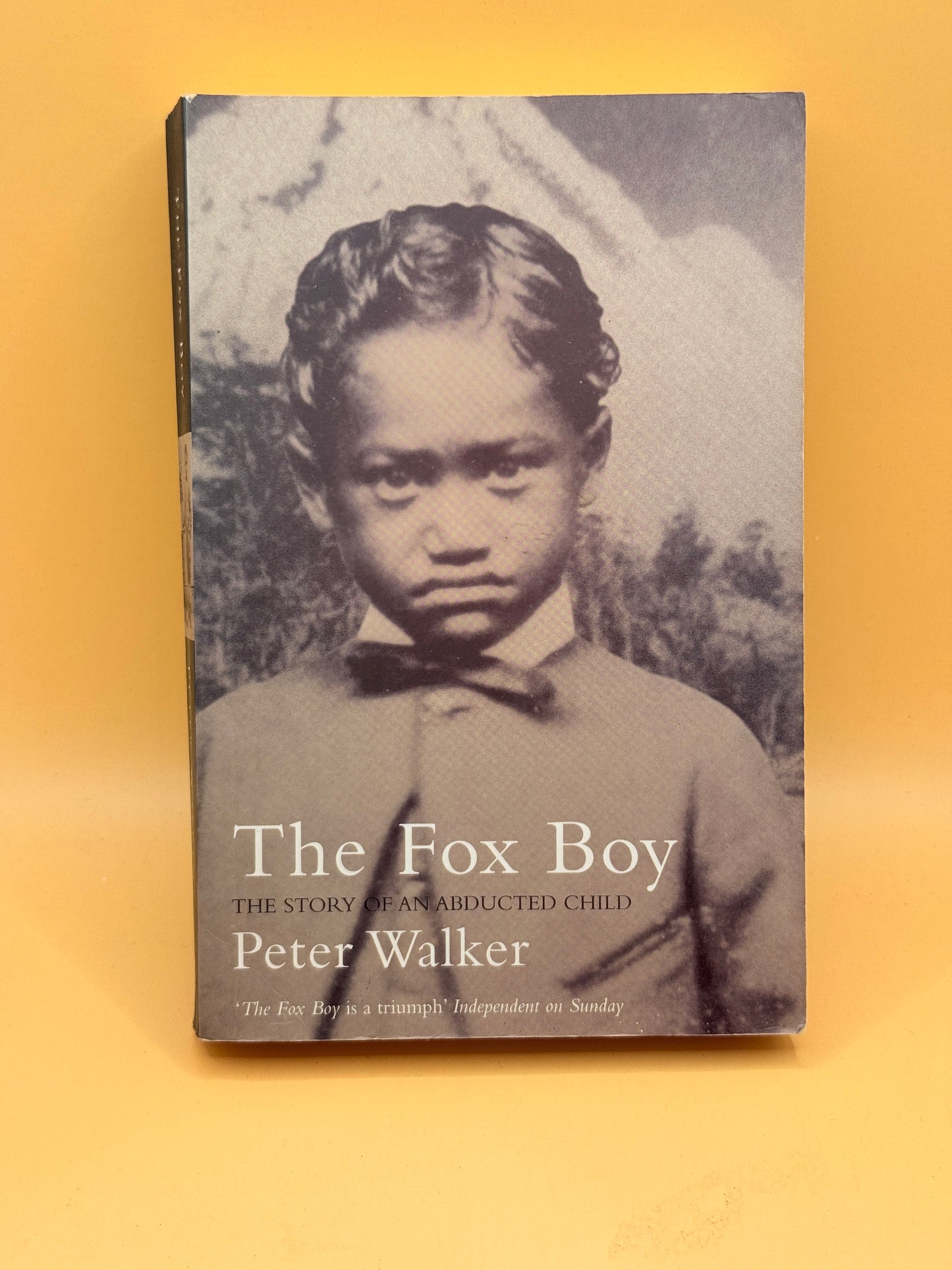 The Fox Boy by Peter Walker