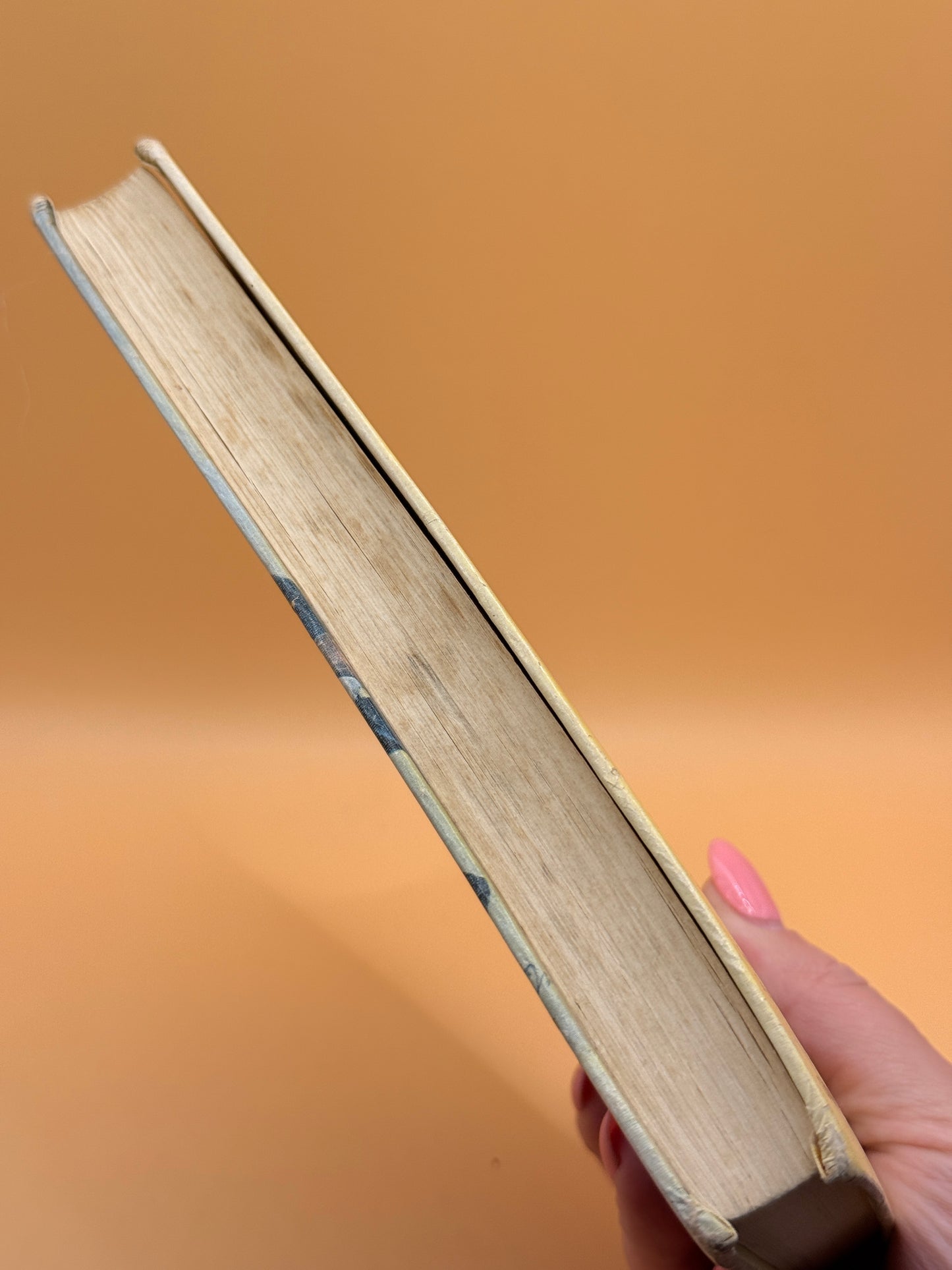 The Companion Library: Treasure Island by Robert Louis Stevenson