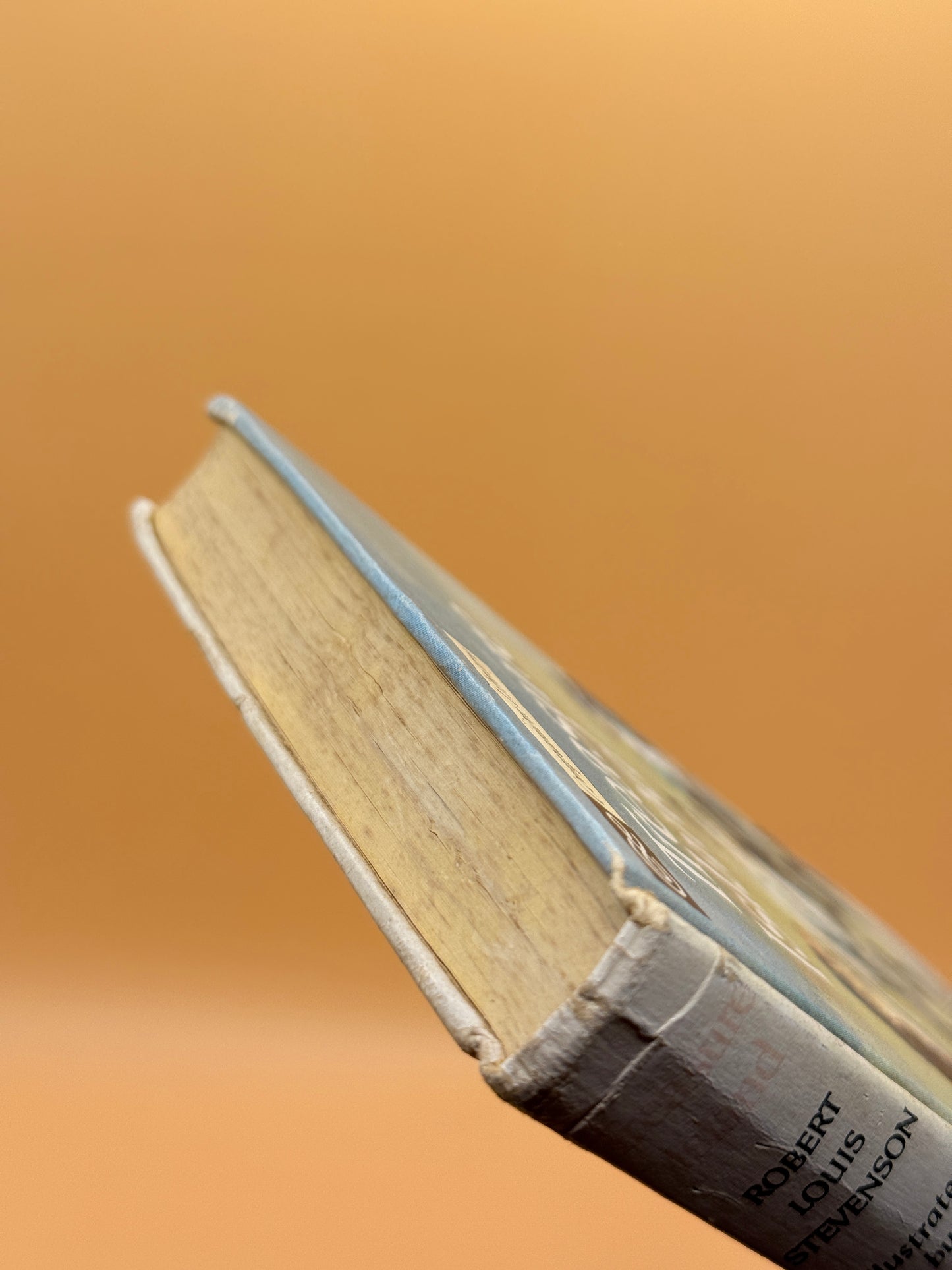 The Companion Library: Treasure Island by Robert Louis Stevenson