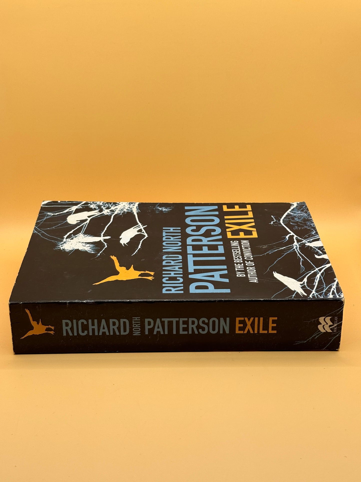 Exile by Richard North Patterson