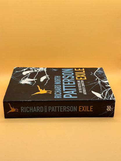 Exile by Richard North Patterson
