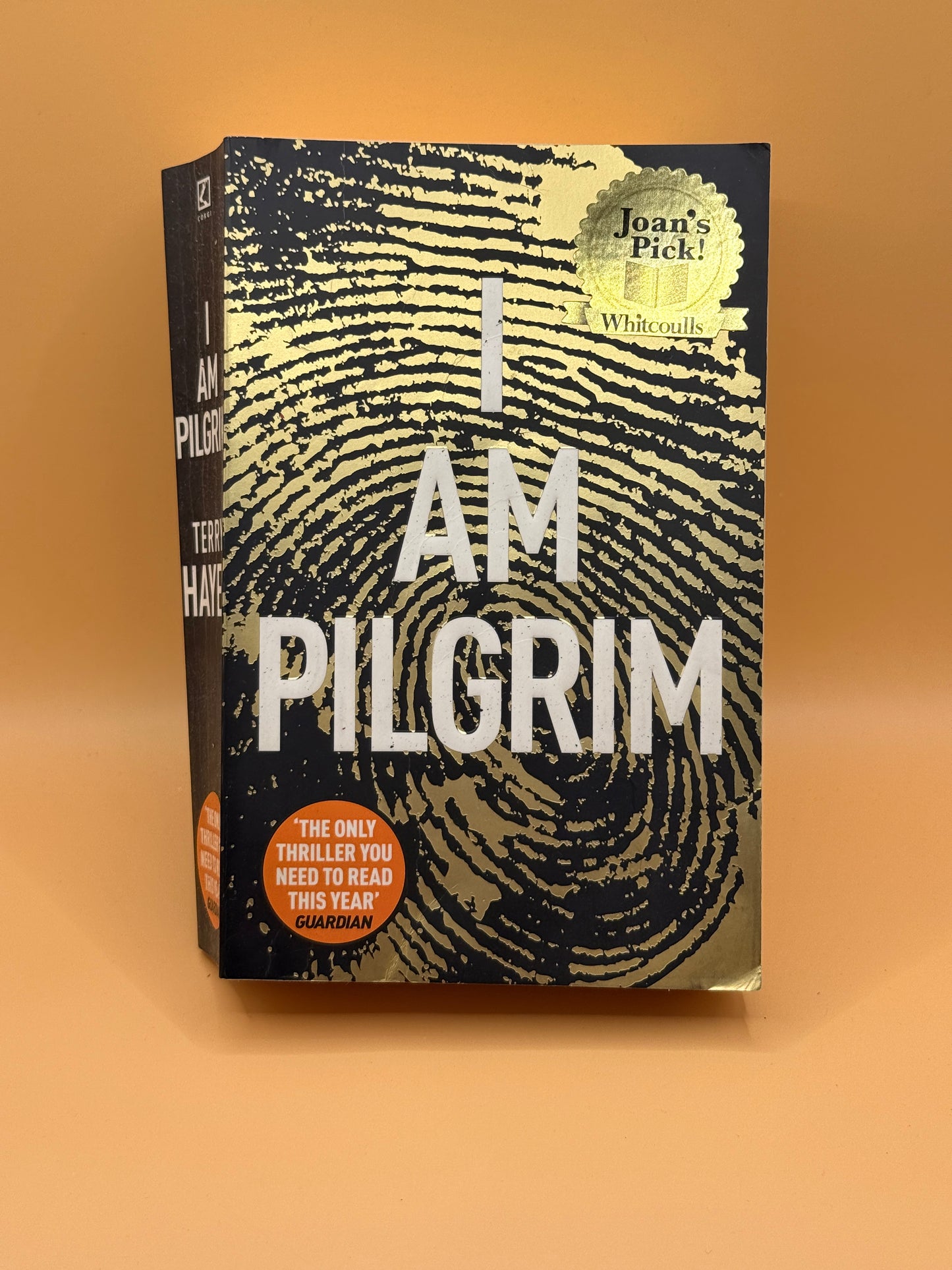 I Am Pilgrim by Terry Hayes