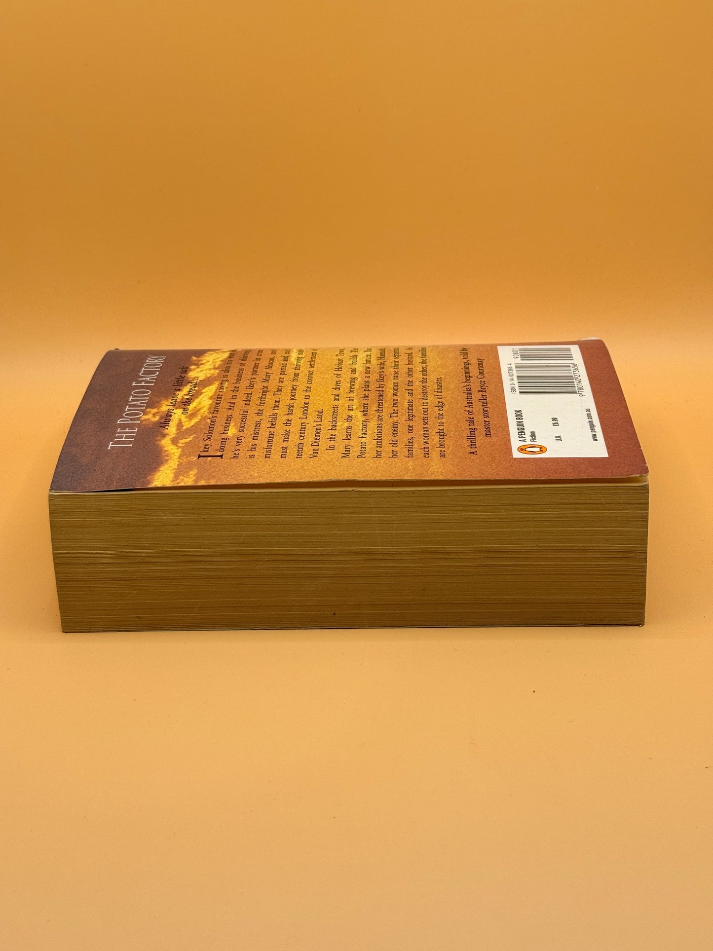 The Potato Factory Trilogy Book 1 by Bryce Courtenay