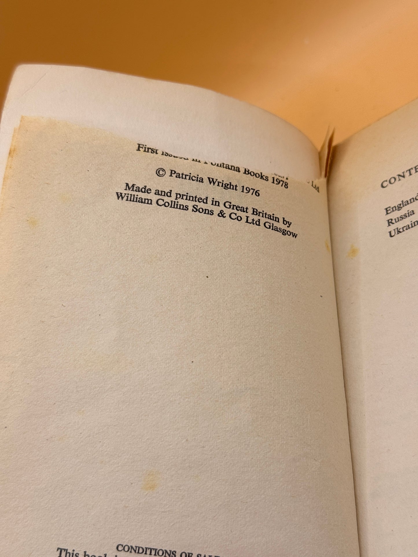 Ilena by Patricia Wright (1978)