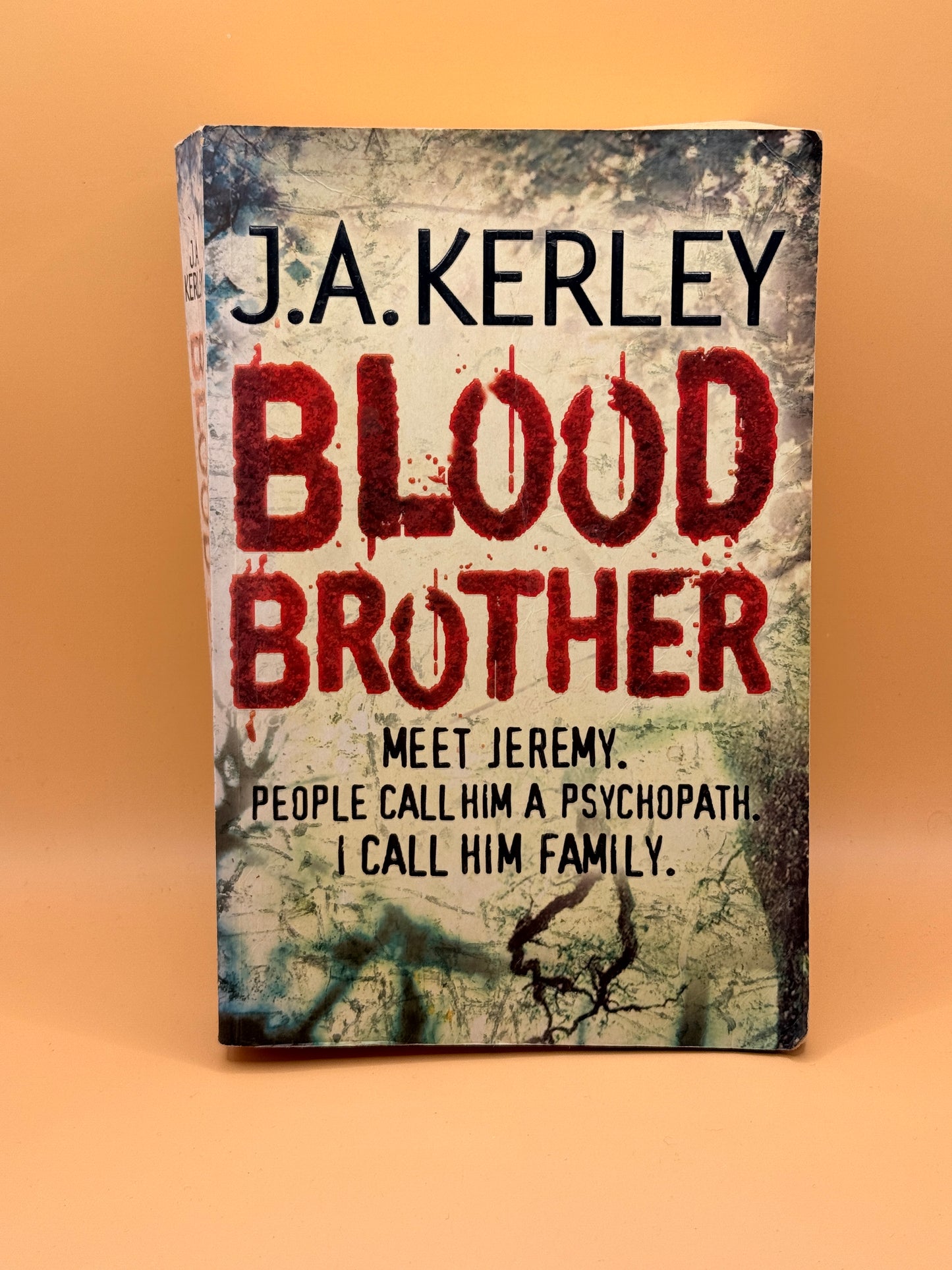 Blood Brother by  J. A. Kerley