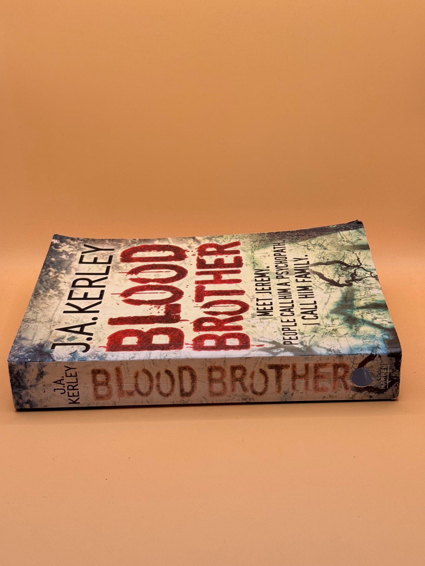 Blood Brother by  J. A. Kerley