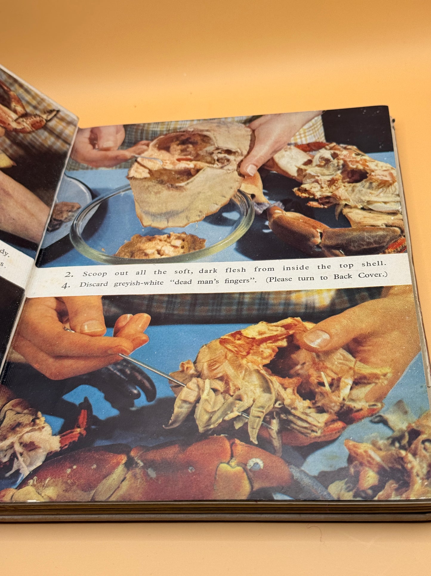 Good Housekeeping's Basic Cookery in Pictures 1955