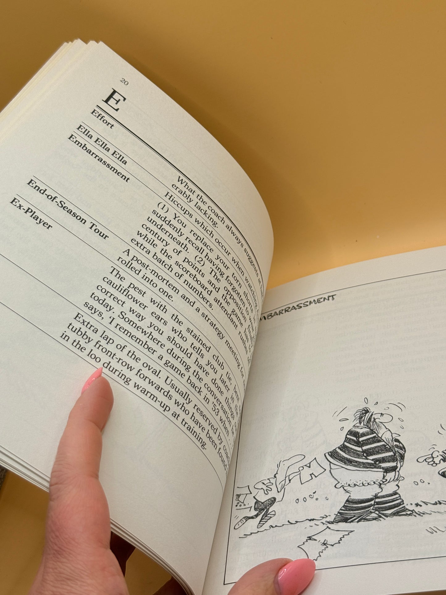 Rugby: The Dictionary by Jim Webster