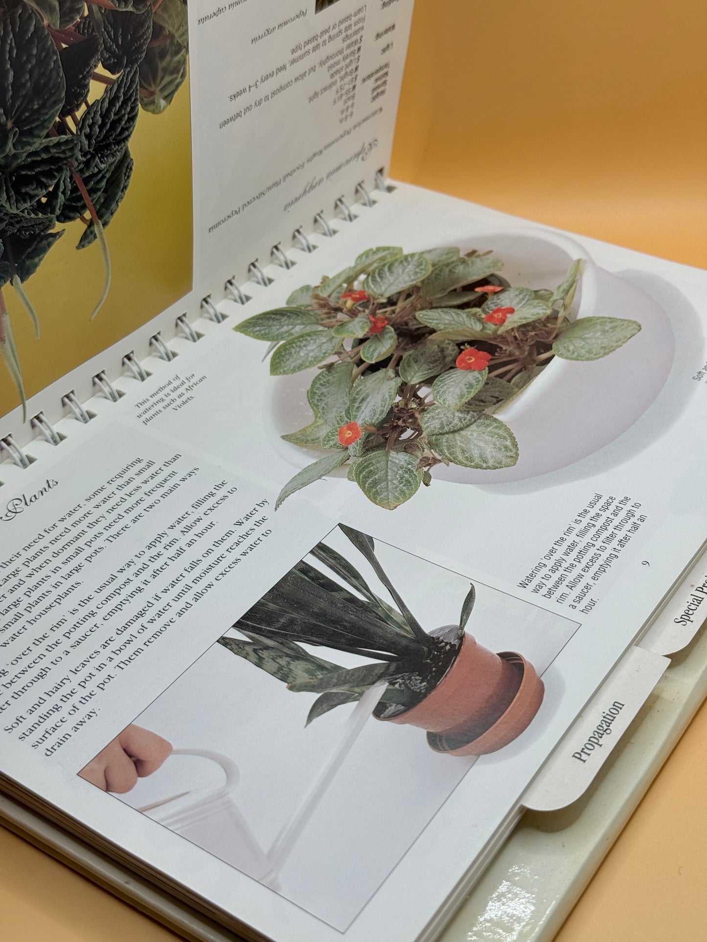 The Step-by-Step Guide to Houseplant Care book by David Squire