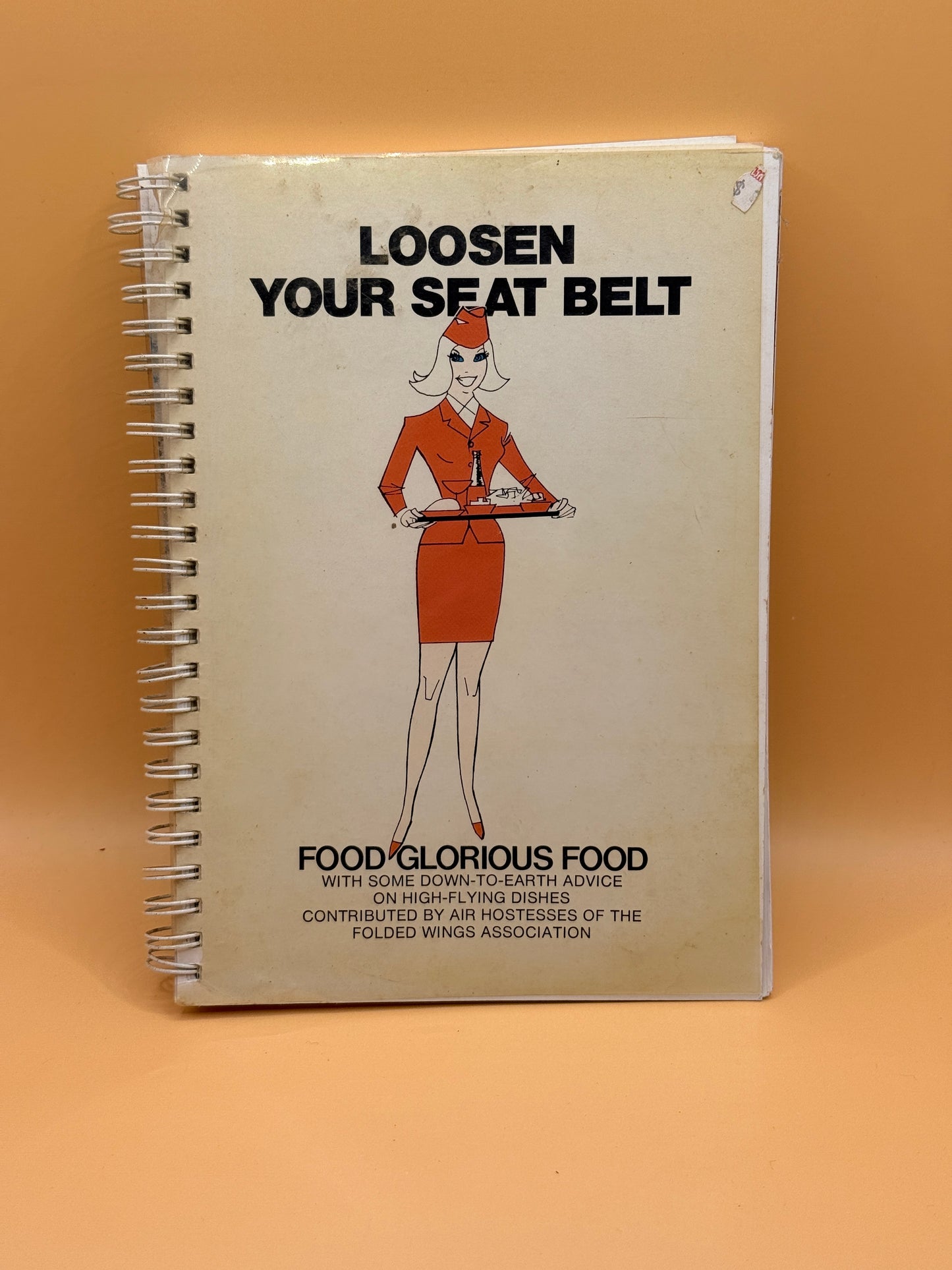 Loosen Your Seat Belt by the Folded Wings Association.