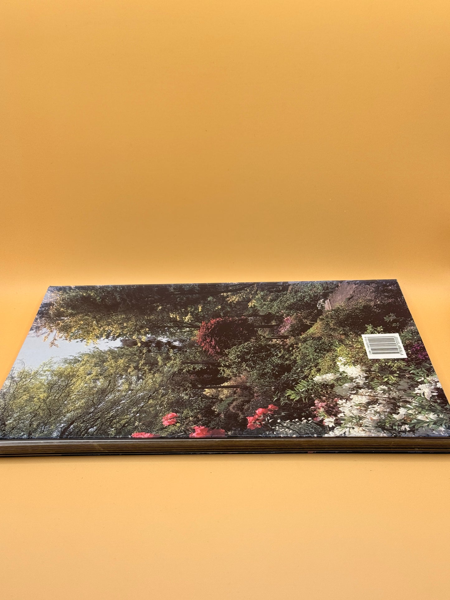 New Zealand Town and Country Gardens by Julian Matthews