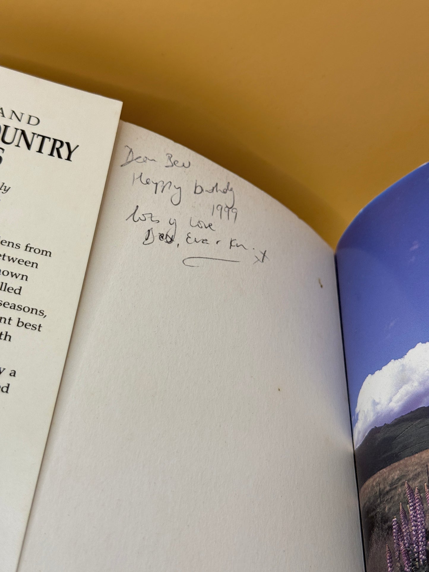 New Zealand Town and Country Gardens by Julian Matthews