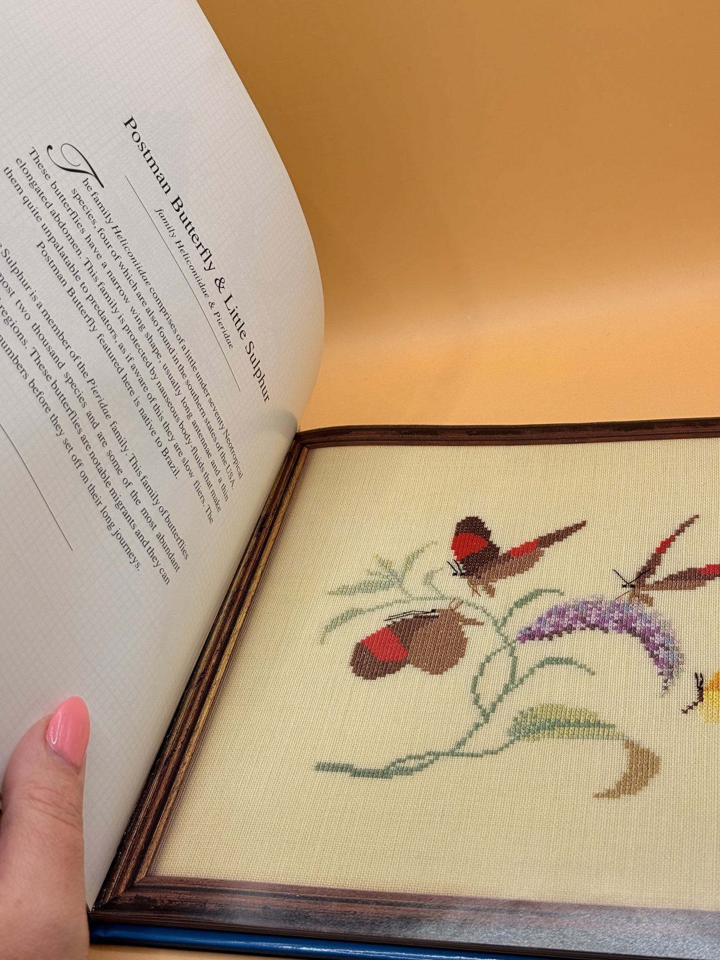 Workbook No. 3: Butterfly Garden by Rachel Dulson