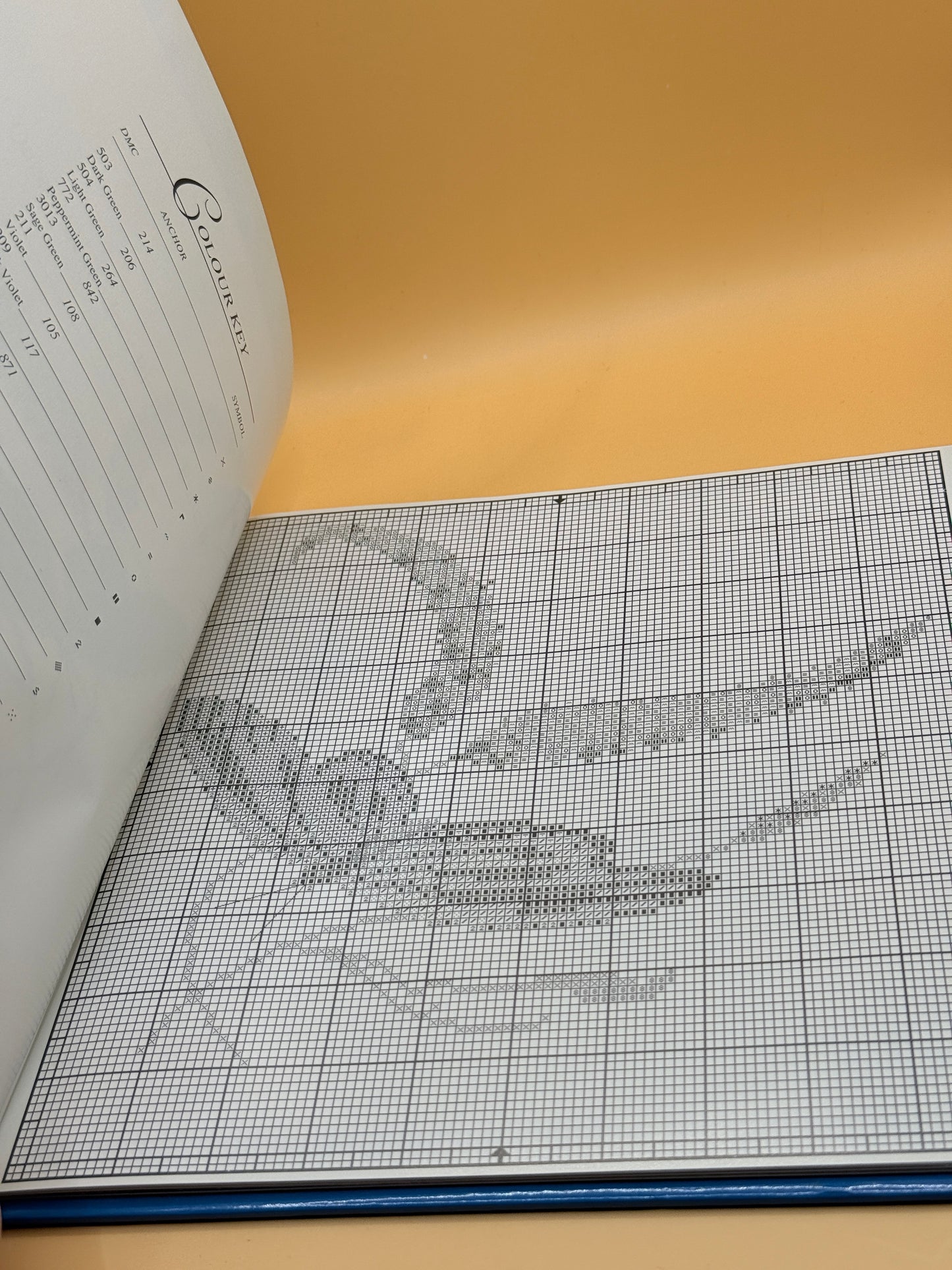 Workbook No. 3: Butterfly Garden by Rachel Dulson