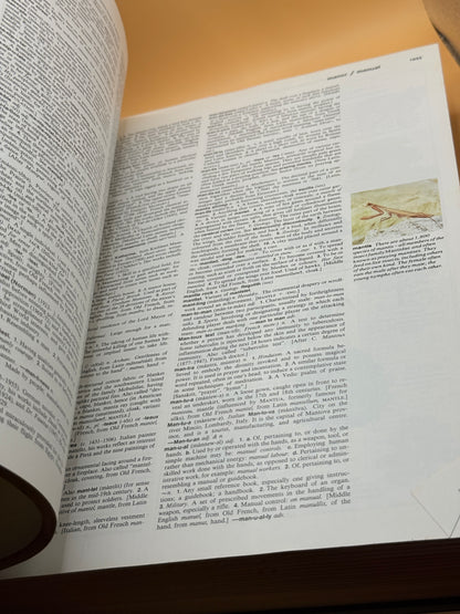 Reader's Digest Great Illustrated Dictionary Vol 2 L-Z 1984